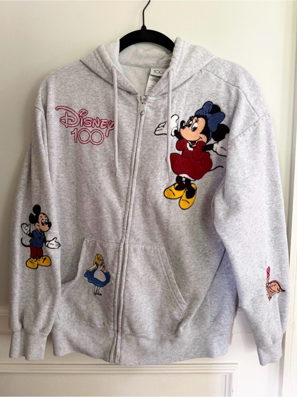 Disney 100 Years Light Gray Embroidered Character Zip Hoodie